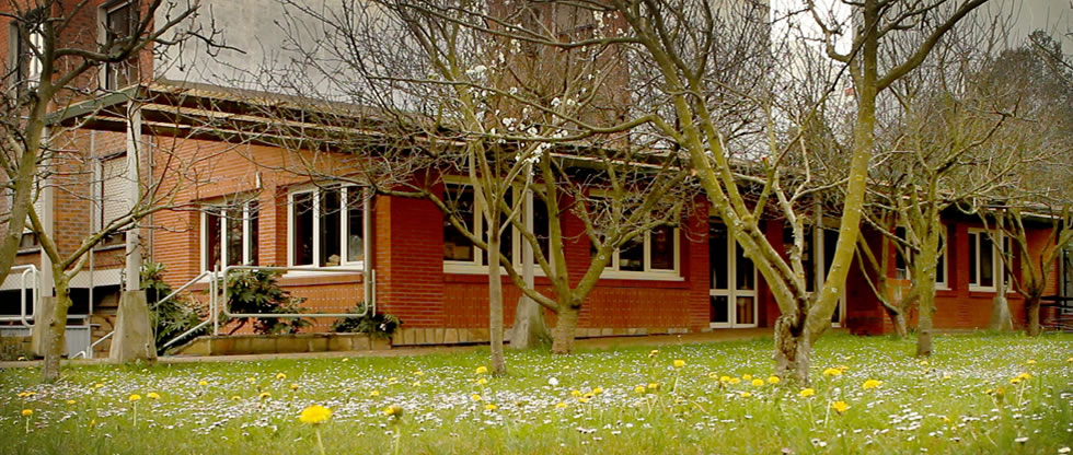 Entrada al sitio web Argia Fundazioa